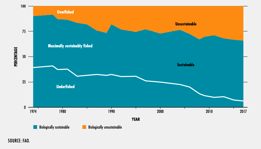 The proportion of overexploited fish stocks has increased.