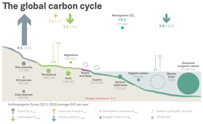 Figure showing carbon stocks and flows in the Earth system.