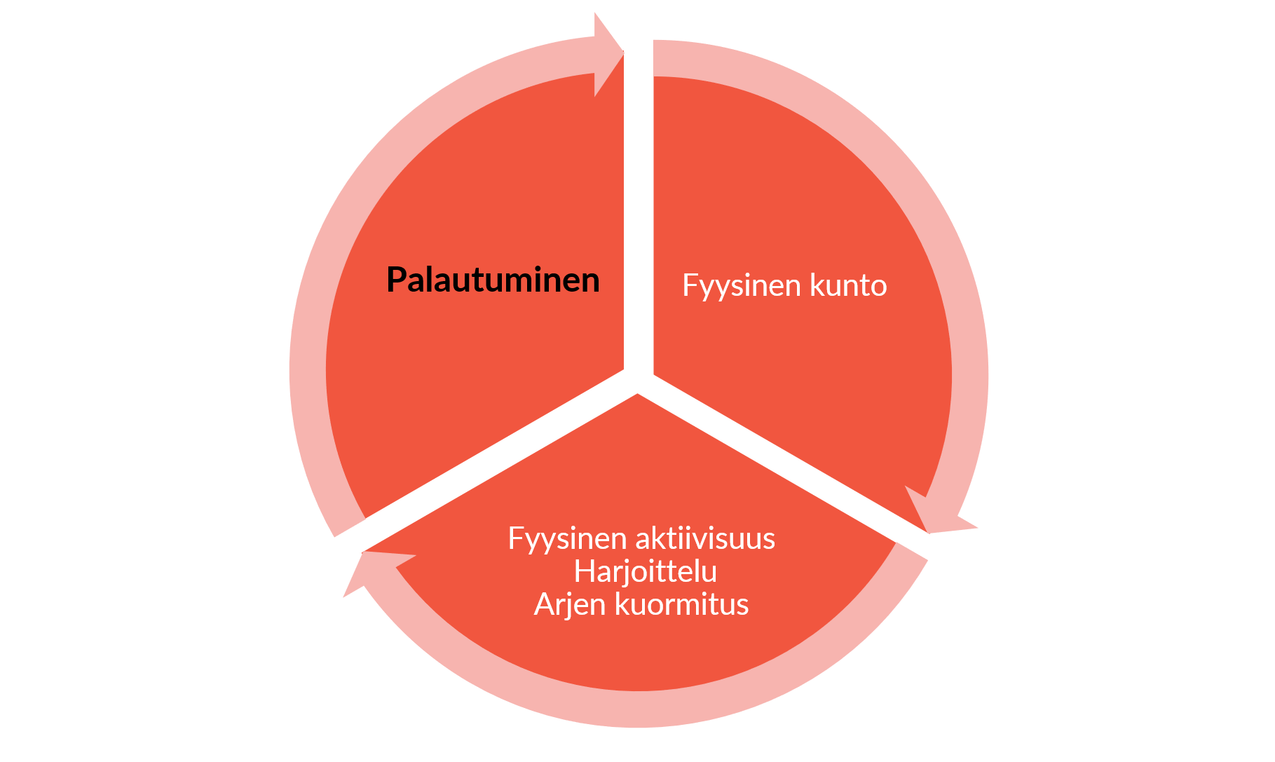 Kokonaiskuormitus eli fyysinen aktiivisuus ja muu arjen kuormitus, palautuminen ja fyysinen kunto muodostavat syklin.