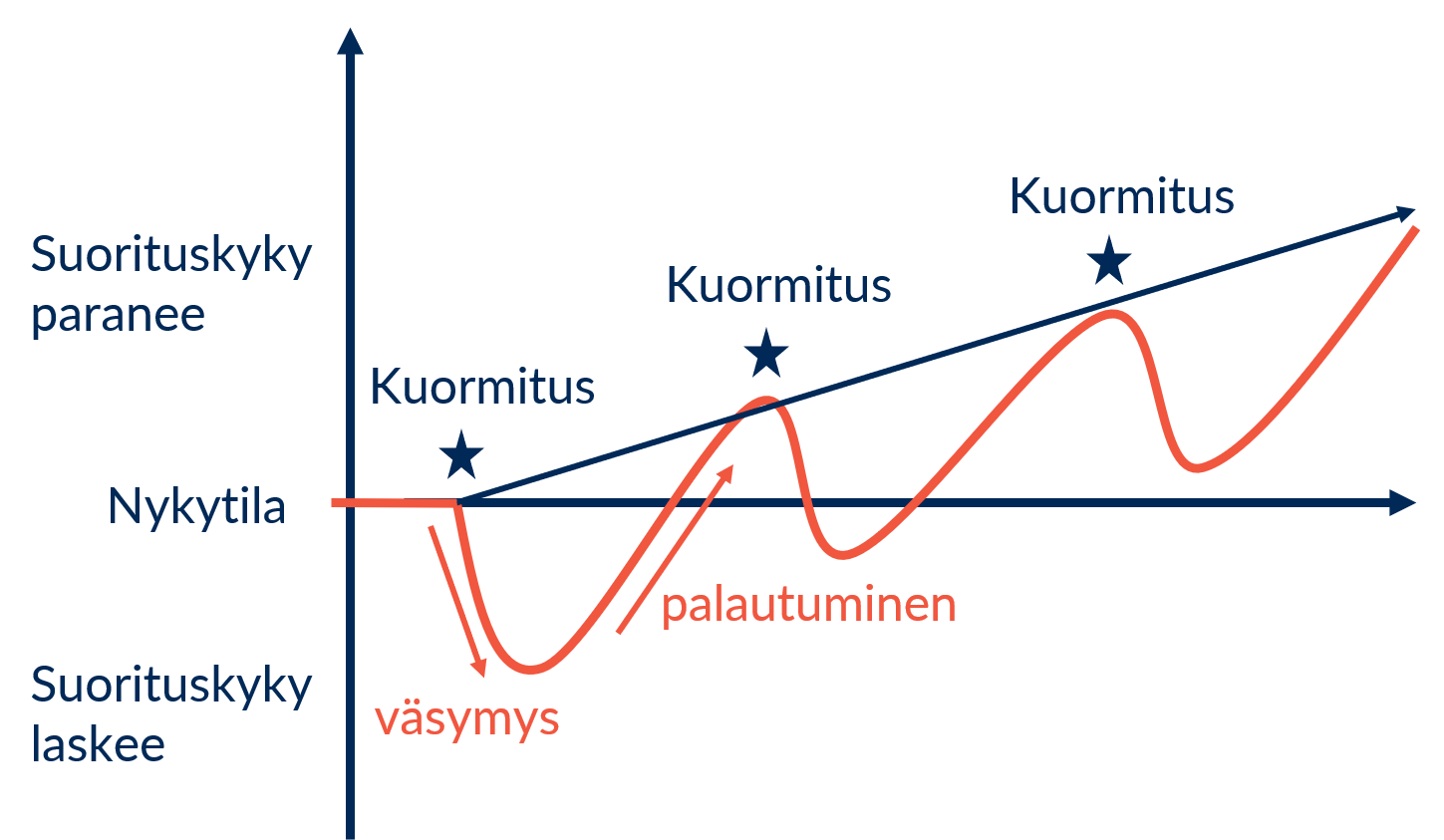 Kun arjen kuormituksesta palautumiseen jätetään riittävästi aikaa, suorituskyky säilyy korkealla.