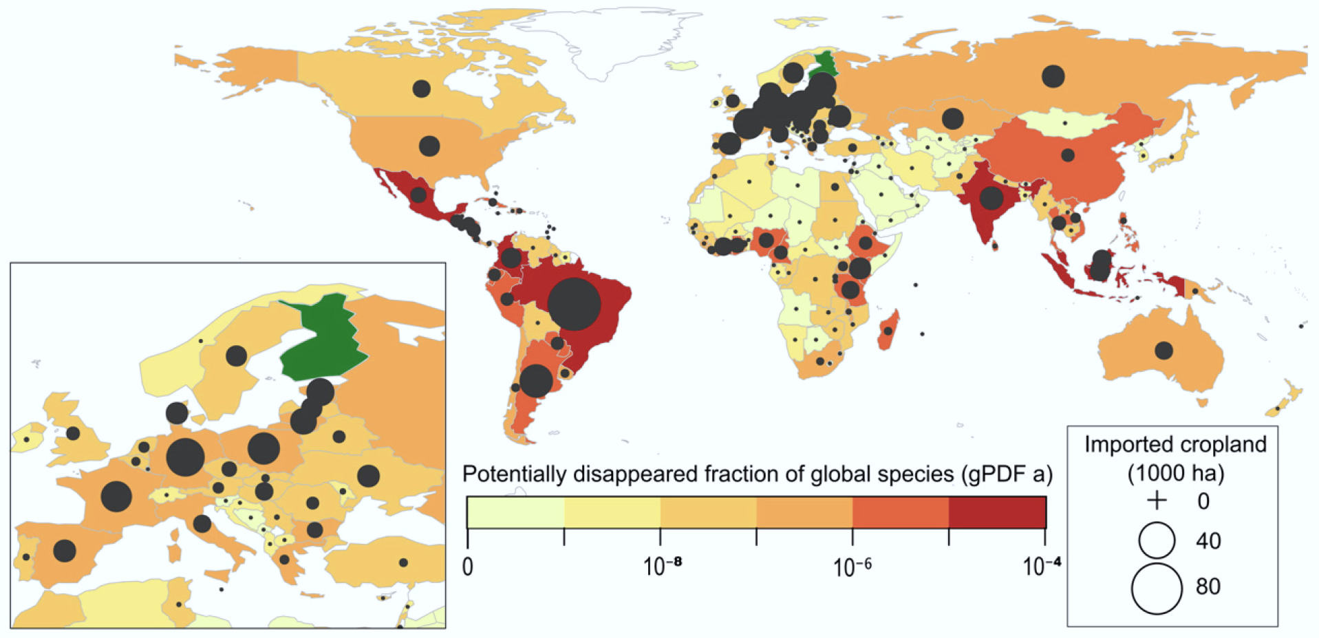 Worl map land use for cropland