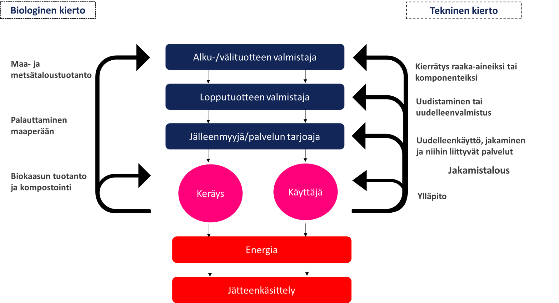 Yksinkertaistettu versio kiertotalouden perhoskuvaajasta, jossa biologiset ja tekniset kierrot on esitetty erikseen.