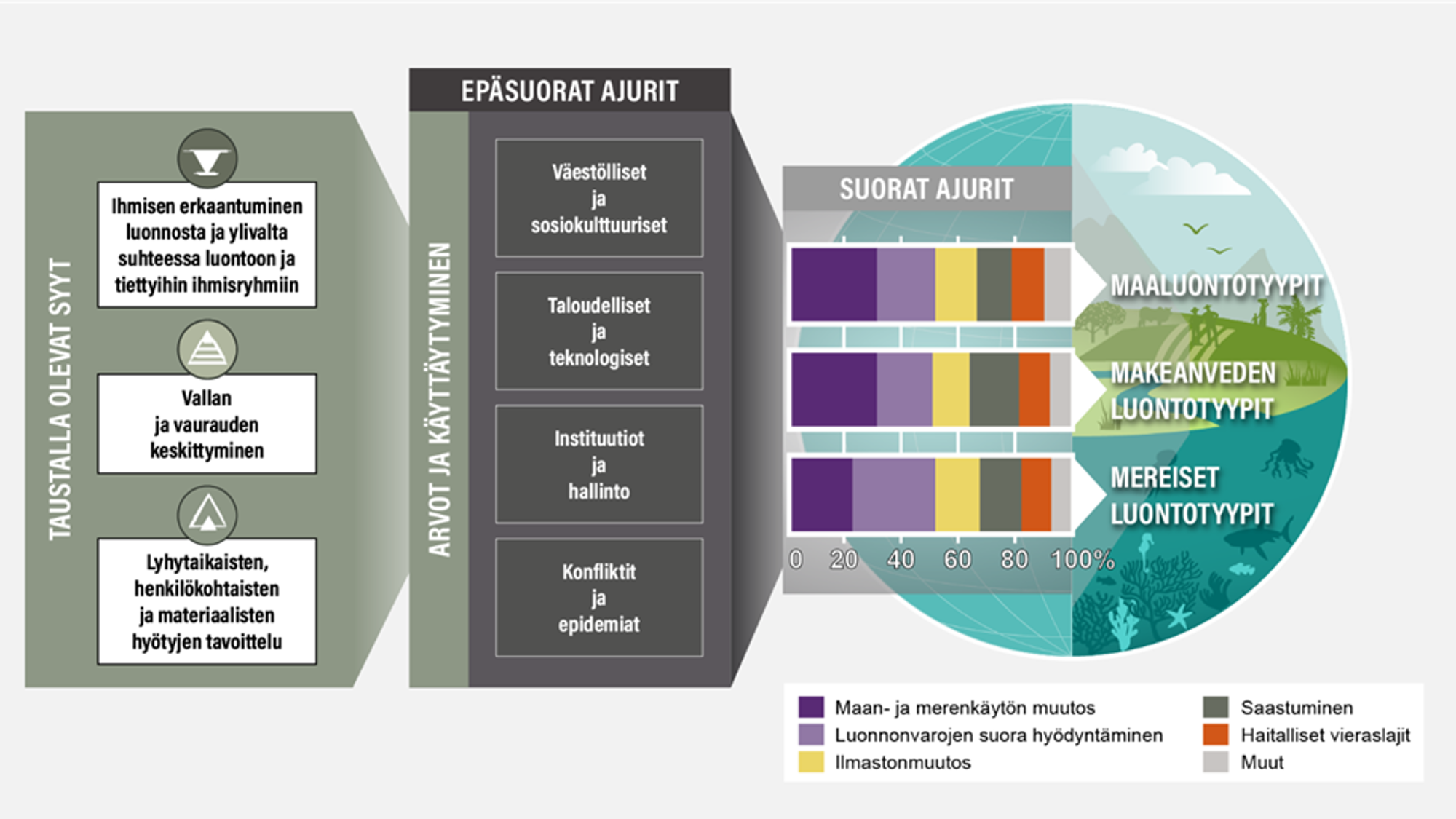 Luontokadon taustalla olevat syyt, luontokadon epäsuorat ajurit esimekiksi väestölliset tekijät ja luontokadon suorat ajurit.