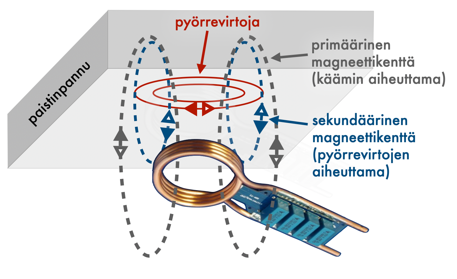 Nopeasti muuttuva magneettikenttä indusoi paistinpannun pohjaan pyörrevirtoja.