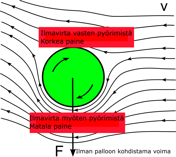 Magnuksen ilmiö