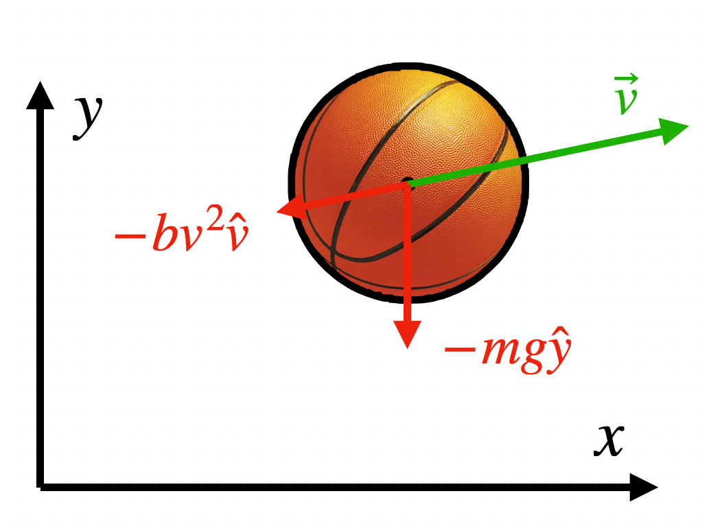 Koripallon voimadiagrammi