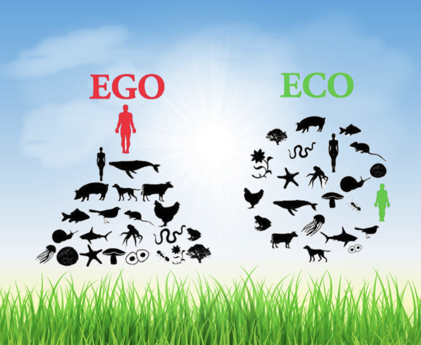 EGO vs ECO