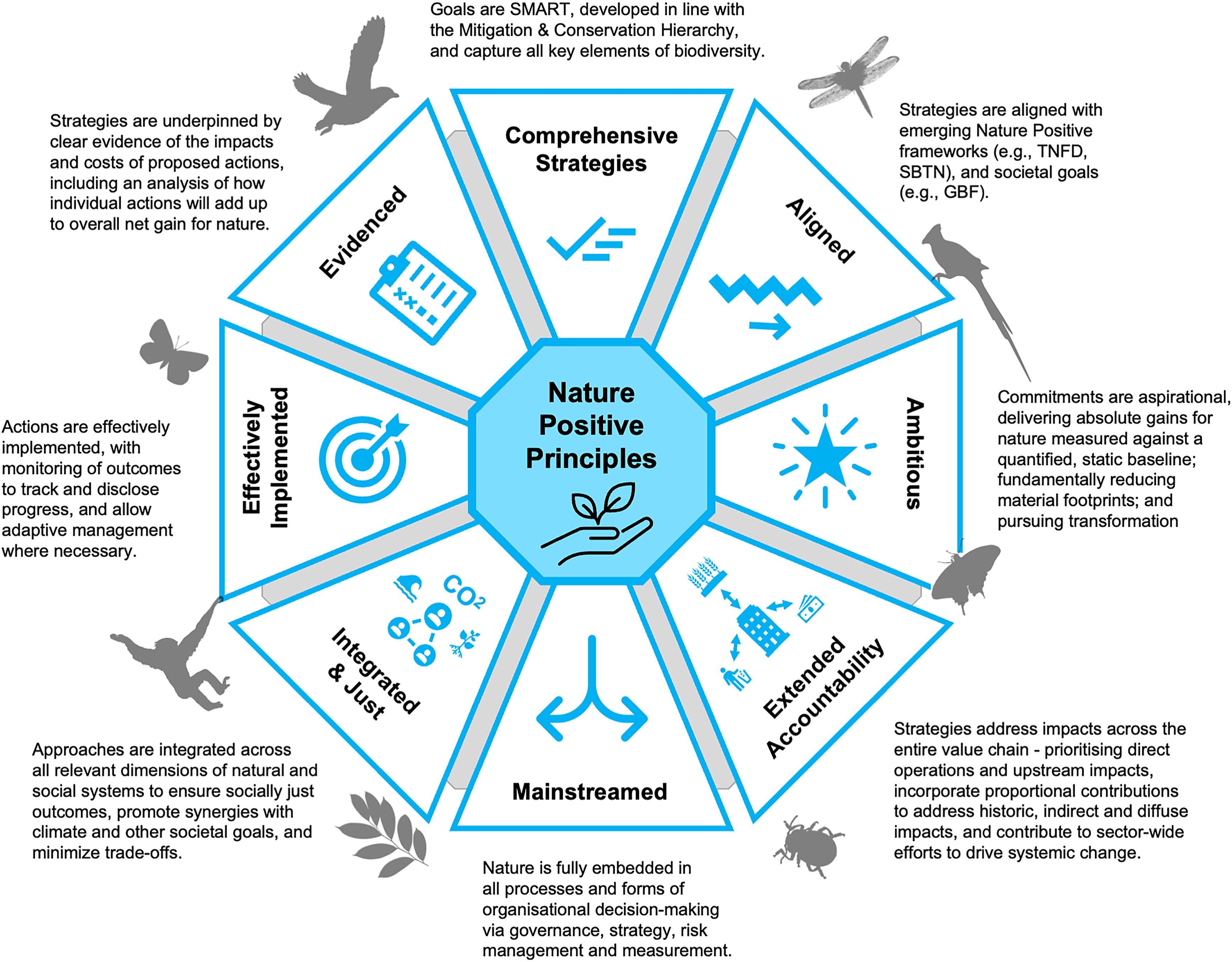 Organisaation luontopositiivisen strategian periaatteet.